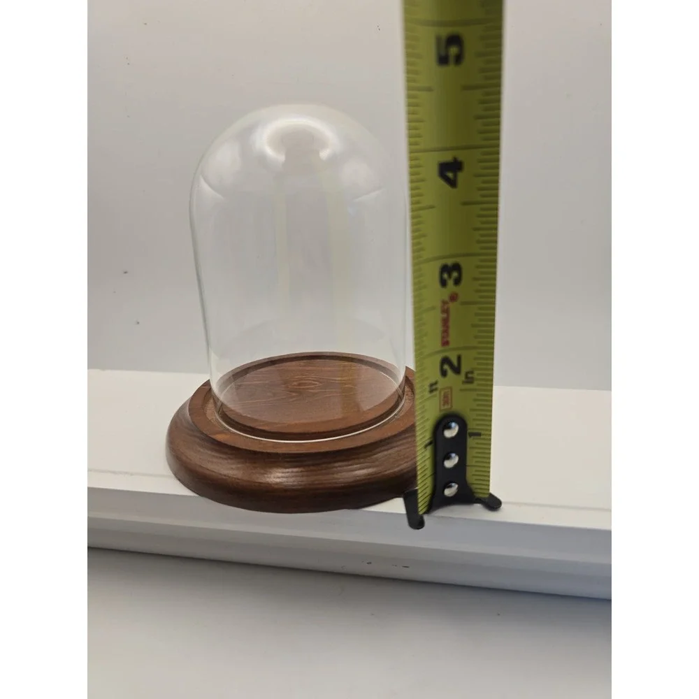 Small Glass Wood‎ Base Dome Display